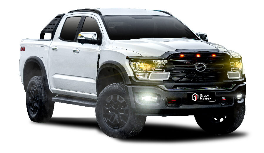 ZX Auto - Grand Lion